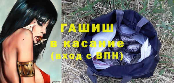 хмурый Тавда
