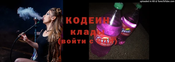 винт Вяземский