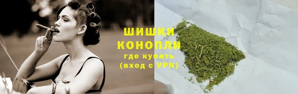 хмурый Тавда