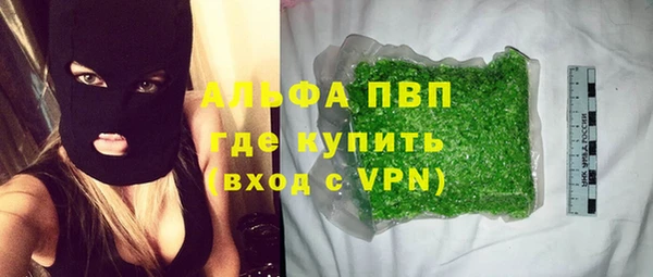 винт Вяземский