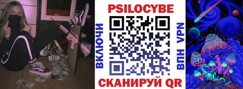 где купить наркоту  Заречный  Псилоцибиновые грибы Psilocybe 